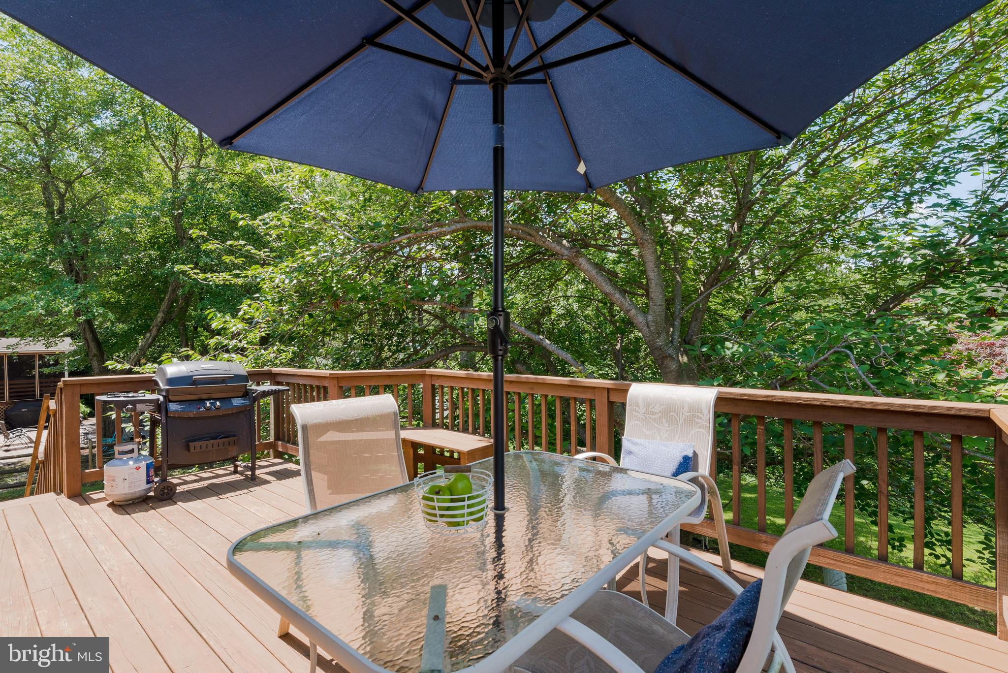 1426 Gilbert Road Arnold, MD 21012 - Photo 42 of 46 Deck