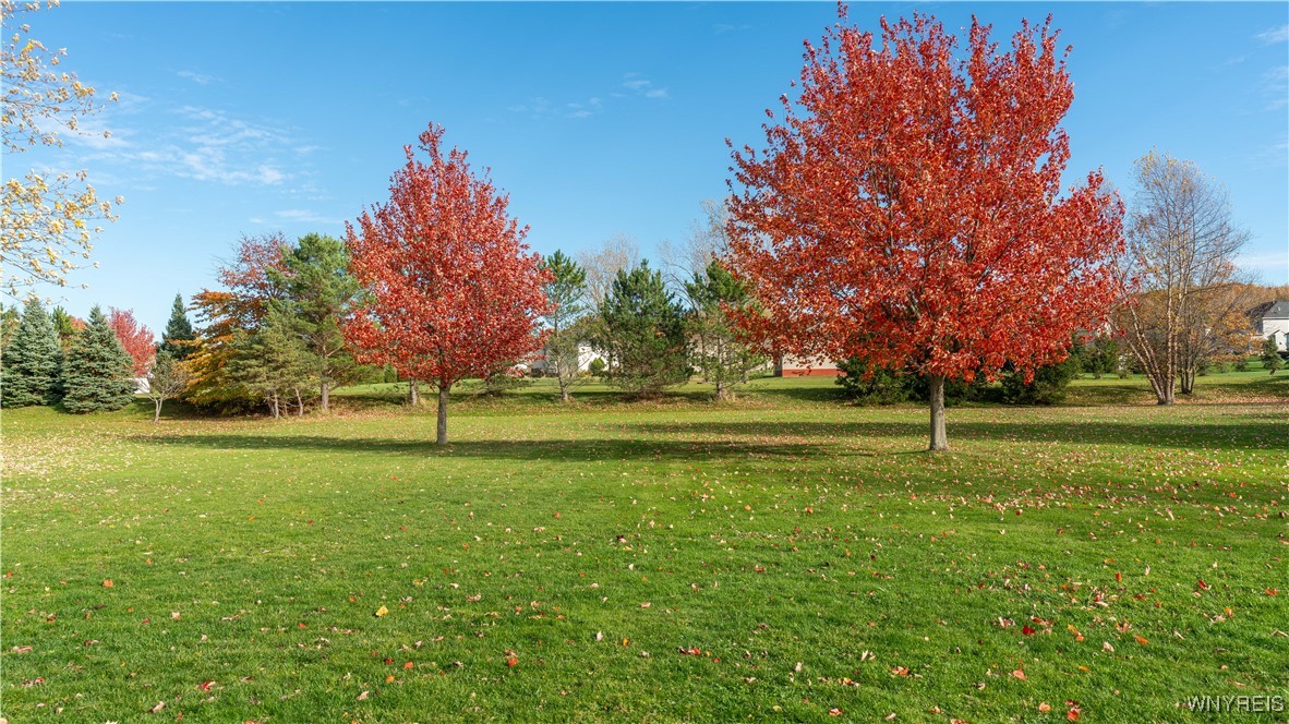 3105 Baker Road Orchard Park, NY 14127 - Photo 50 of 50