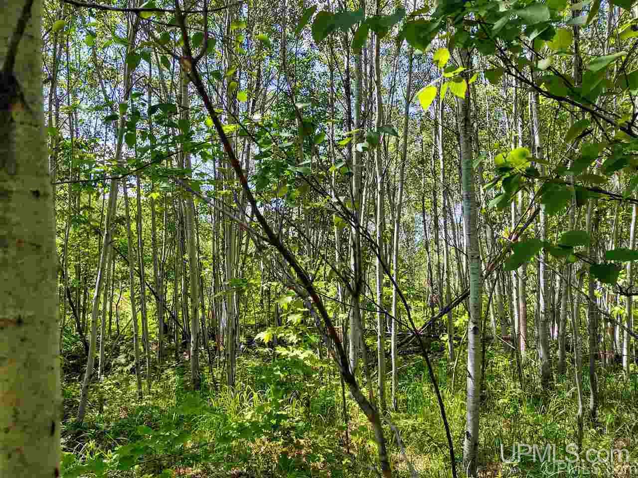 Tbd Co Rd Fp Republic, MI 49879 - Photo 5 of 33