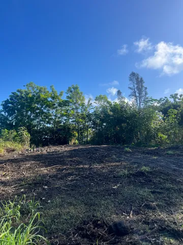 $44,000 | 619 Kala Street, Pahoa, HI 96778