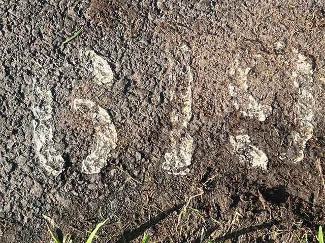 $44,000 | 619 Kala Street, Pahoa, HI 96778