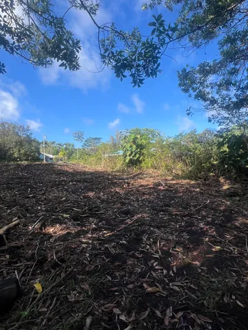 $44,000 | 619 Kala Street, Pahoa, HI 96778