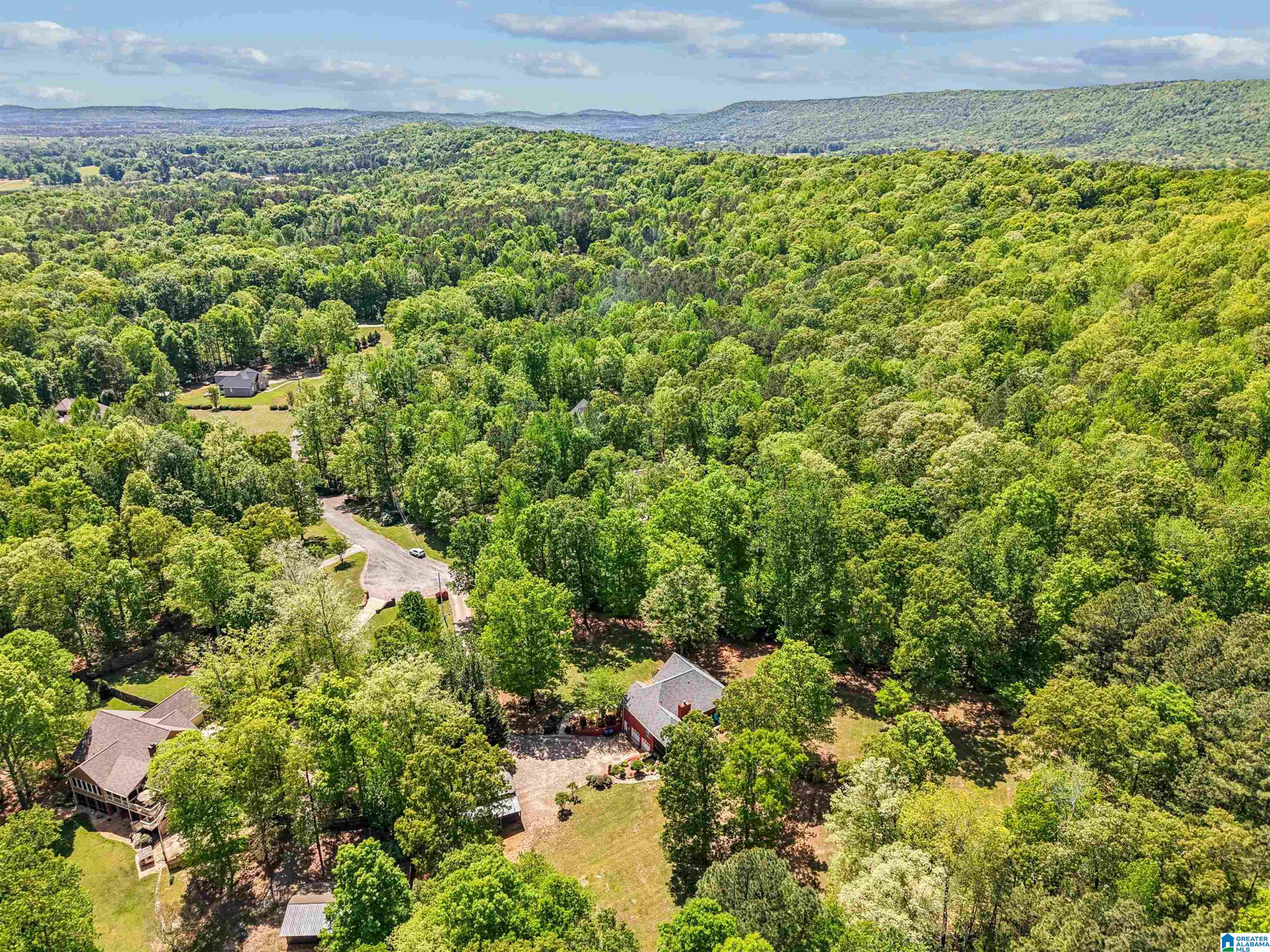706 Oak Valley Road Springville, AL 35146 - Photo 52 of 55