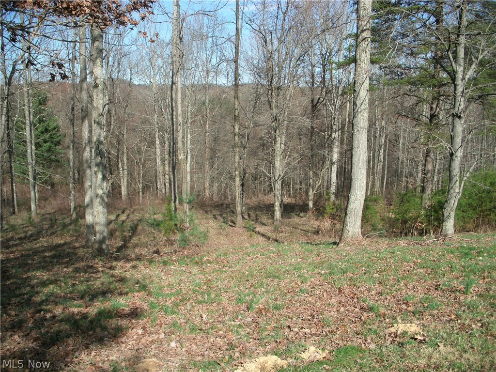 45015 Henthorne Road Woodsfield, OH 43793 - Photo 12 of 18