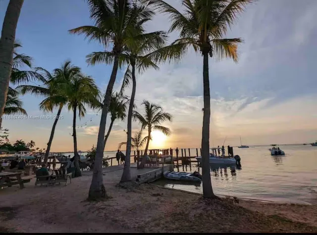 an ocean view with palm trees