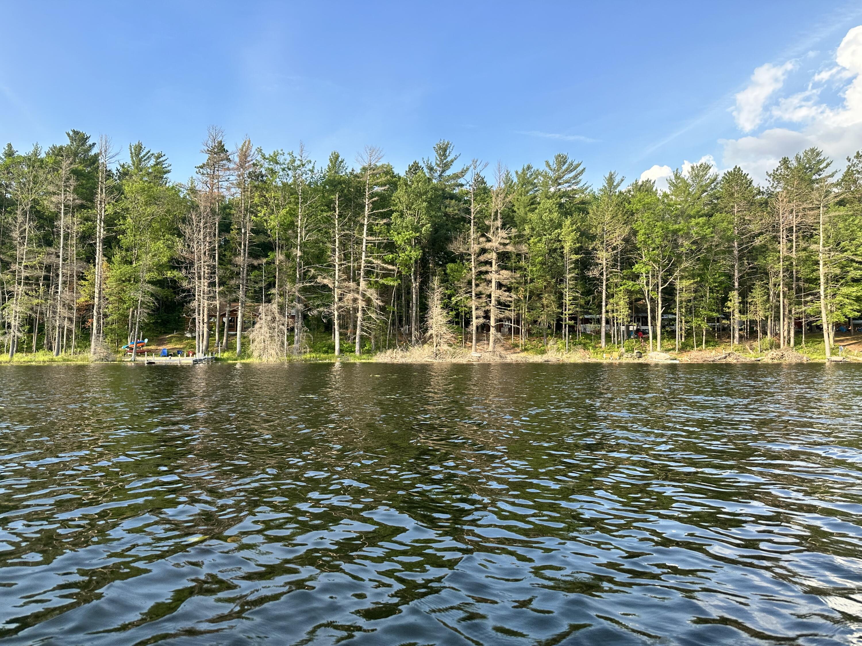 3797 Wequas Lake Road Gaylord, MI 49735 - Photo 12 of 36 12