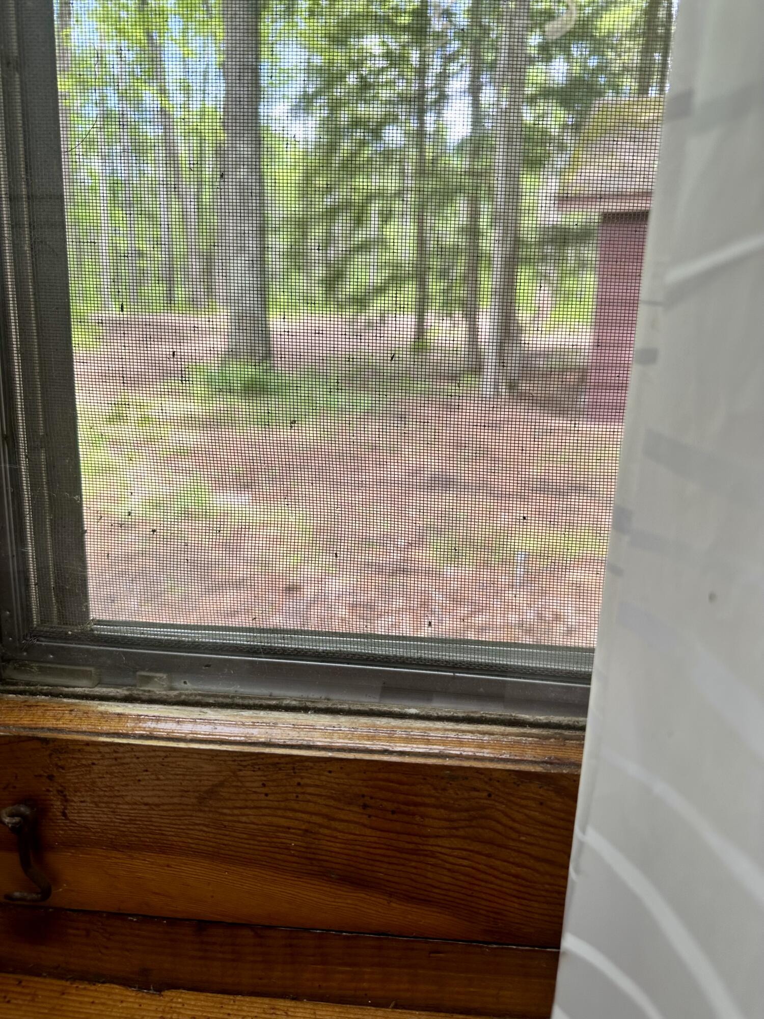 3797 Wequas Lake Road Gaylord, MI 49735 - Photo 29 of 36 29