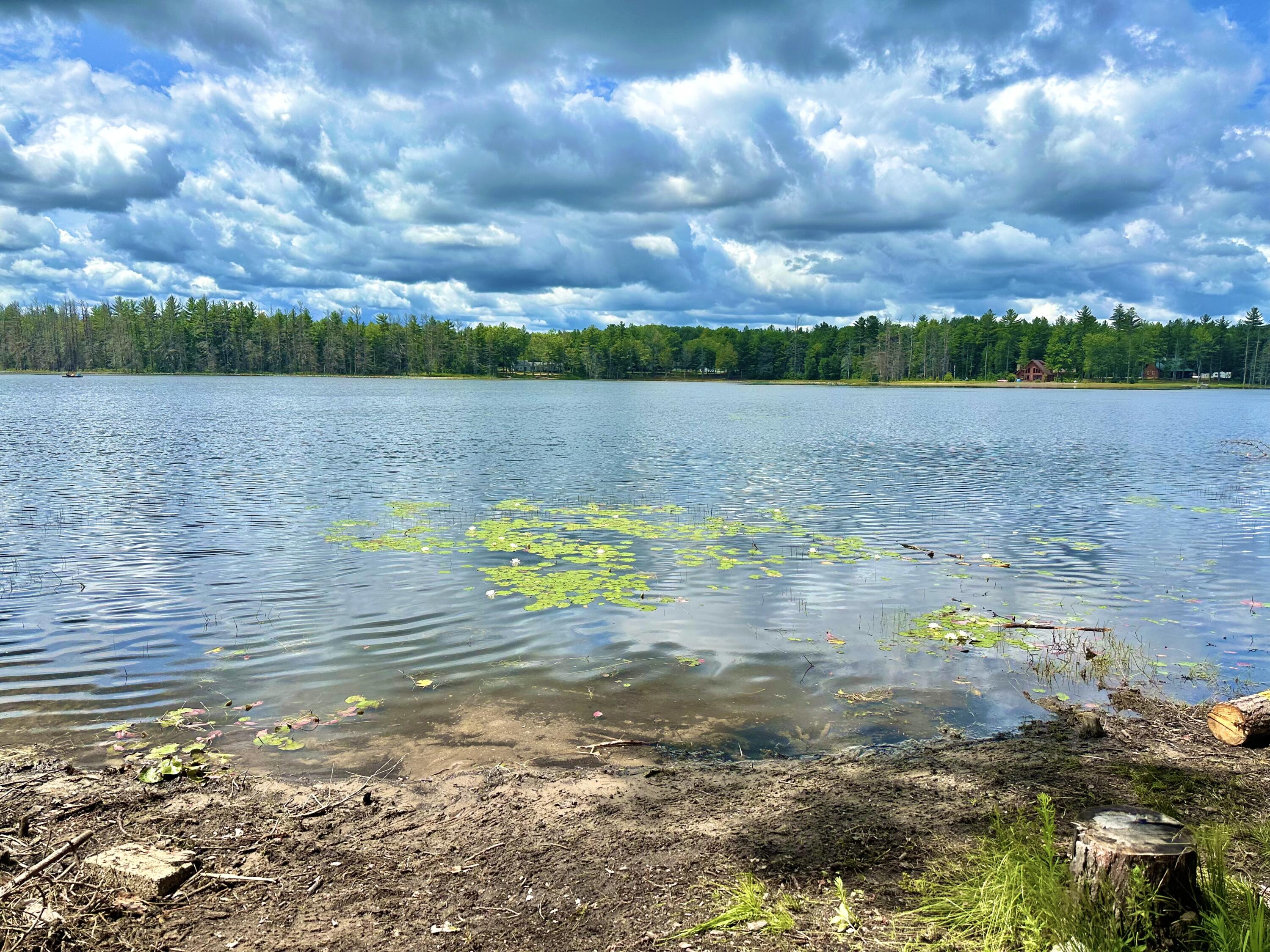 3797 Wequas Lake Road Gaylord, MI 49735 - Photo 8 of 36 8