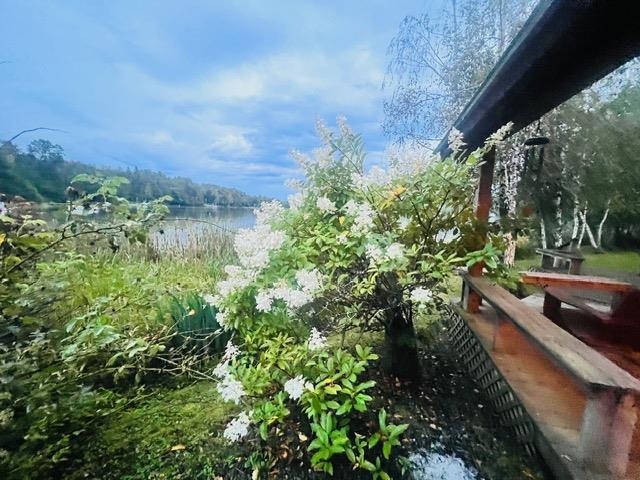 391 West Shore Road Glover, VT 05875 - Photo 35 of 52