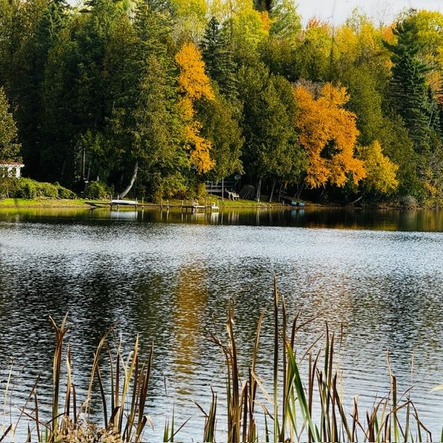 391 West Shore Road Glover, VT 05875 - Photo 42 of 46