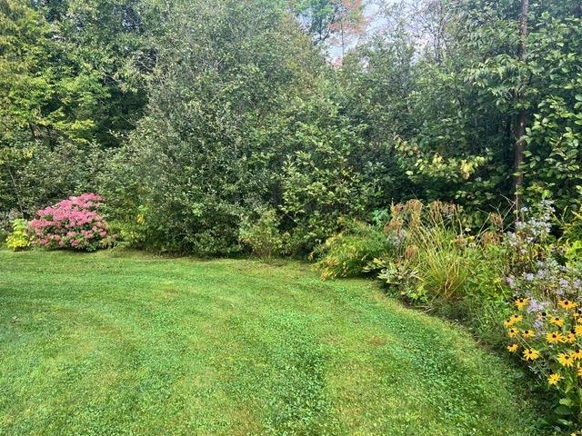 391 West Shore Road Glover, VT 05875 - Photo 44 of 46