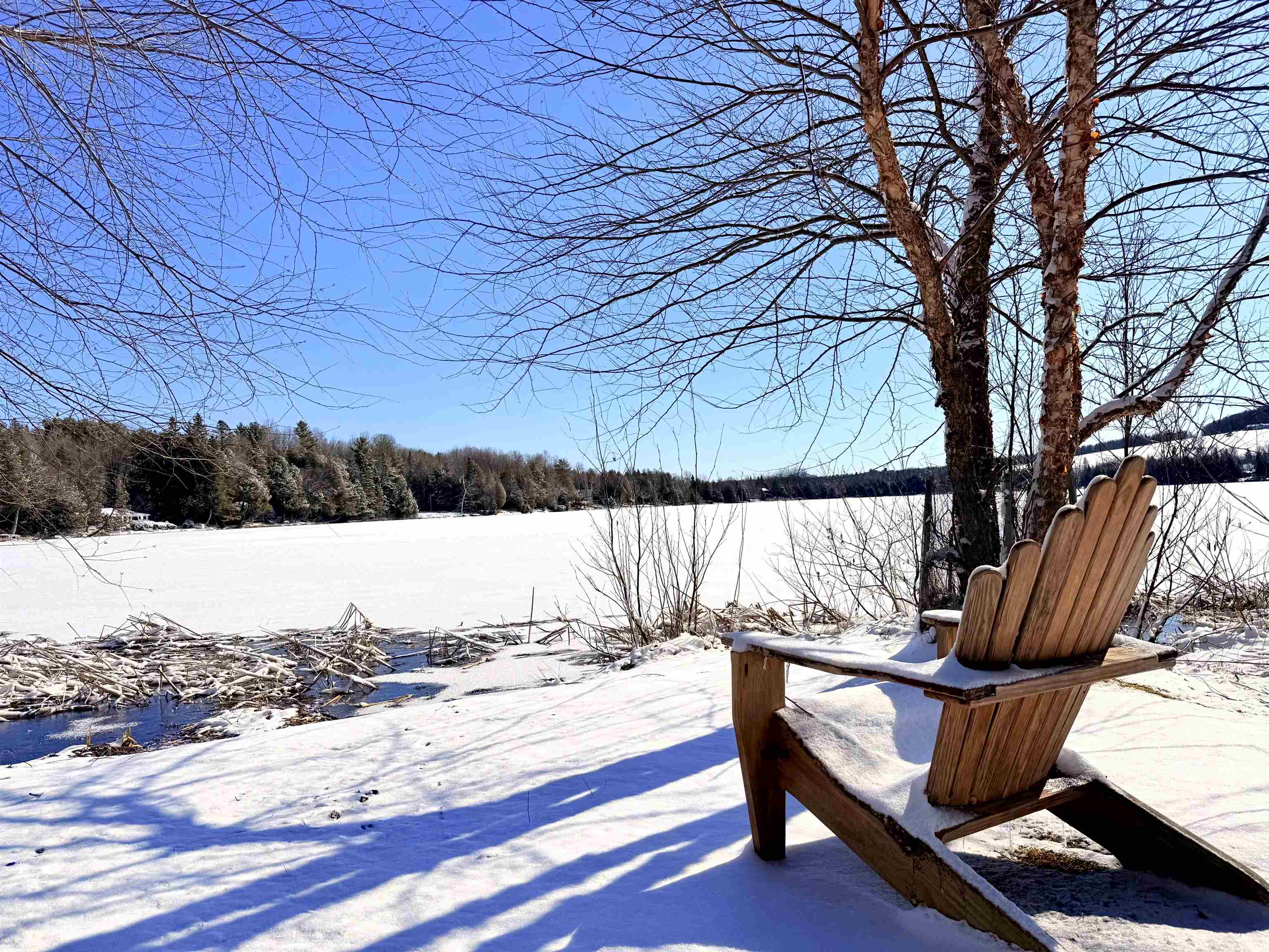 391 West Shore Road Glover, VT 05875 - Photo 50 of 52