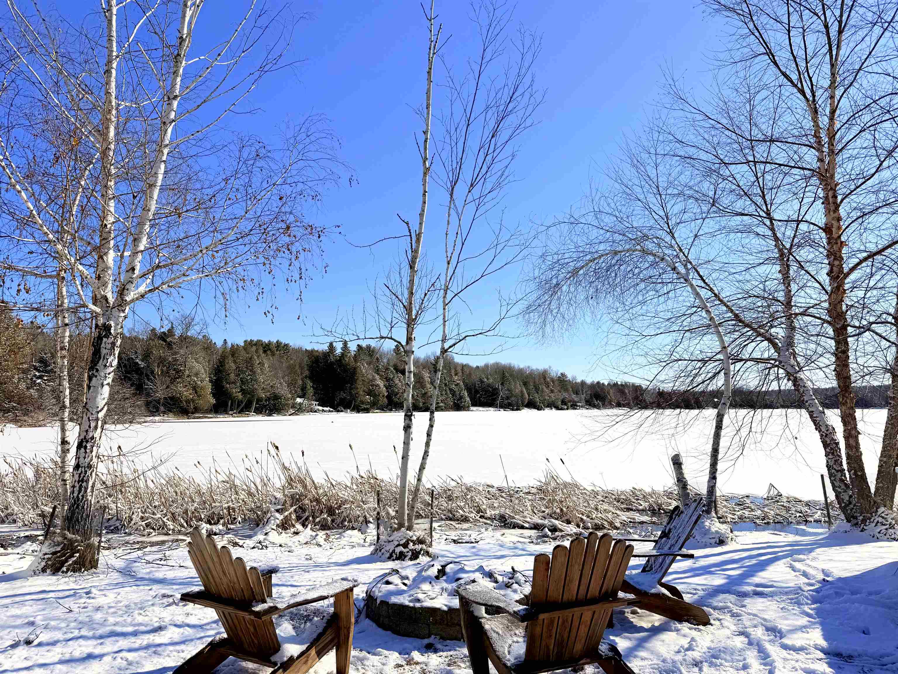 391 West Shore Road Glover, VT 05875 - Photo 5 of 52