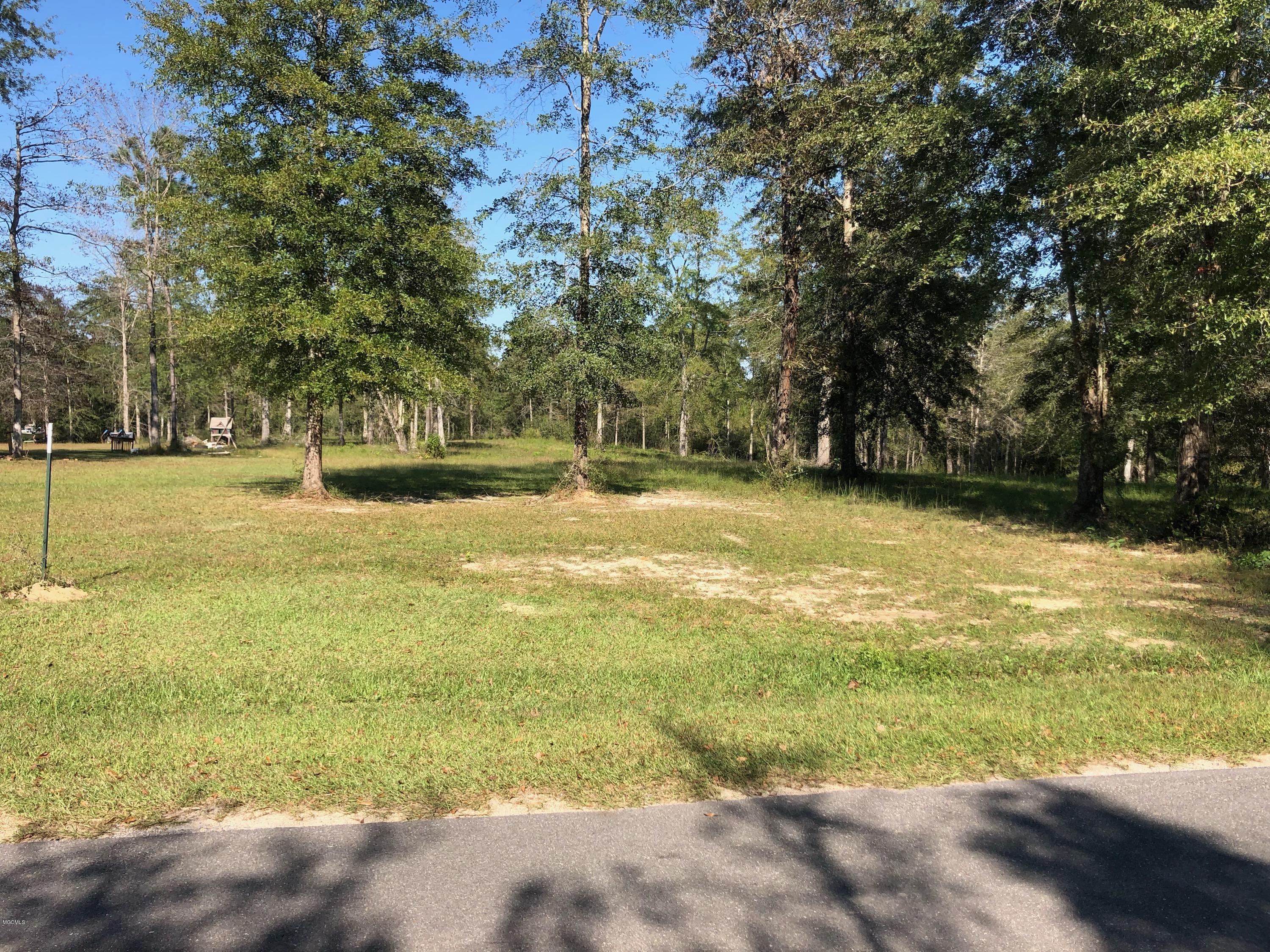 Nhn Carl Taylor Road Wiggins, MS 39577 - Photo 1 of 5 IMG_2237
