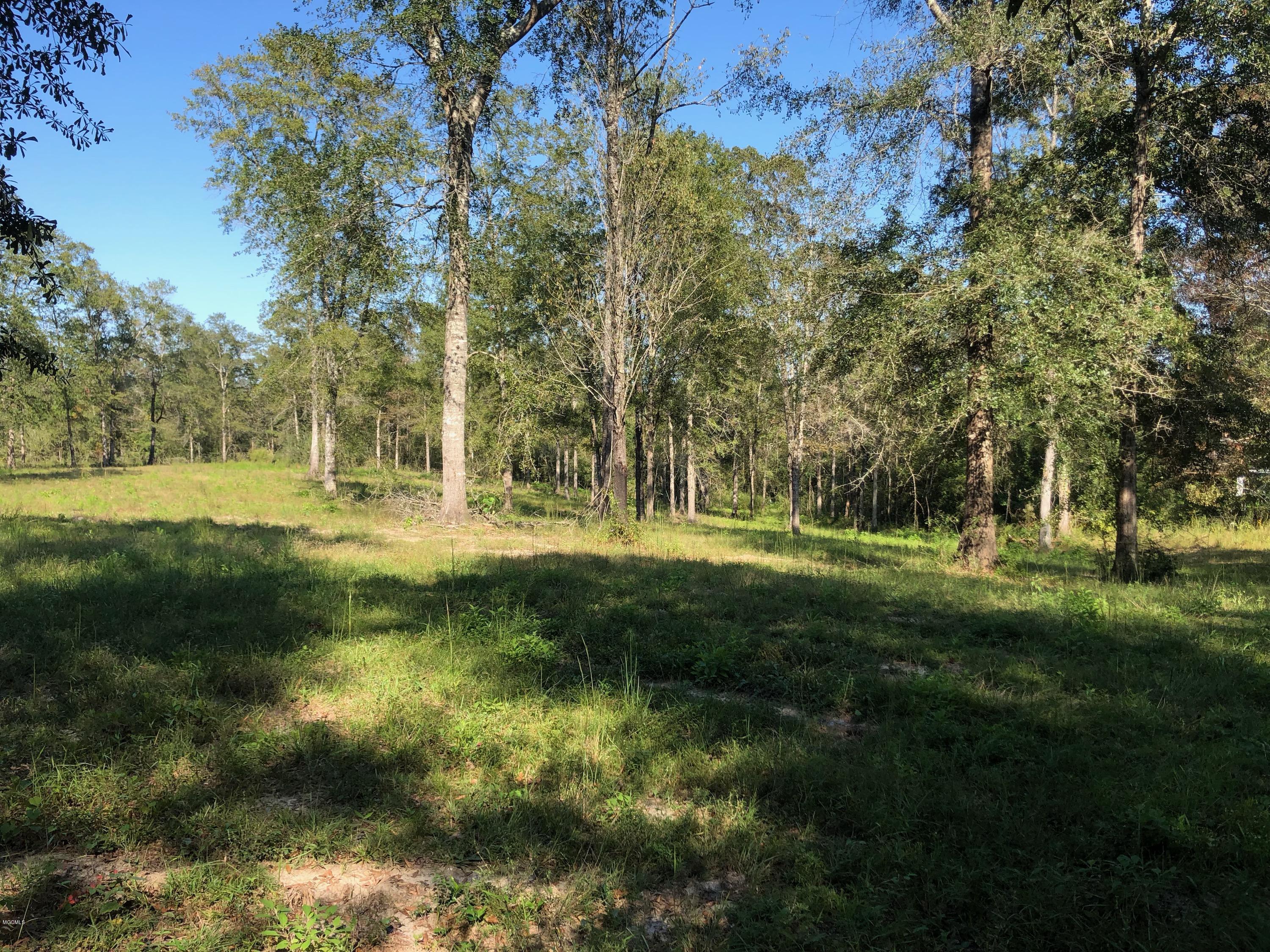 Nhn Carl Taylor Road Wiggins, MS 39577 - Photo 2 of 5 IMG_2239