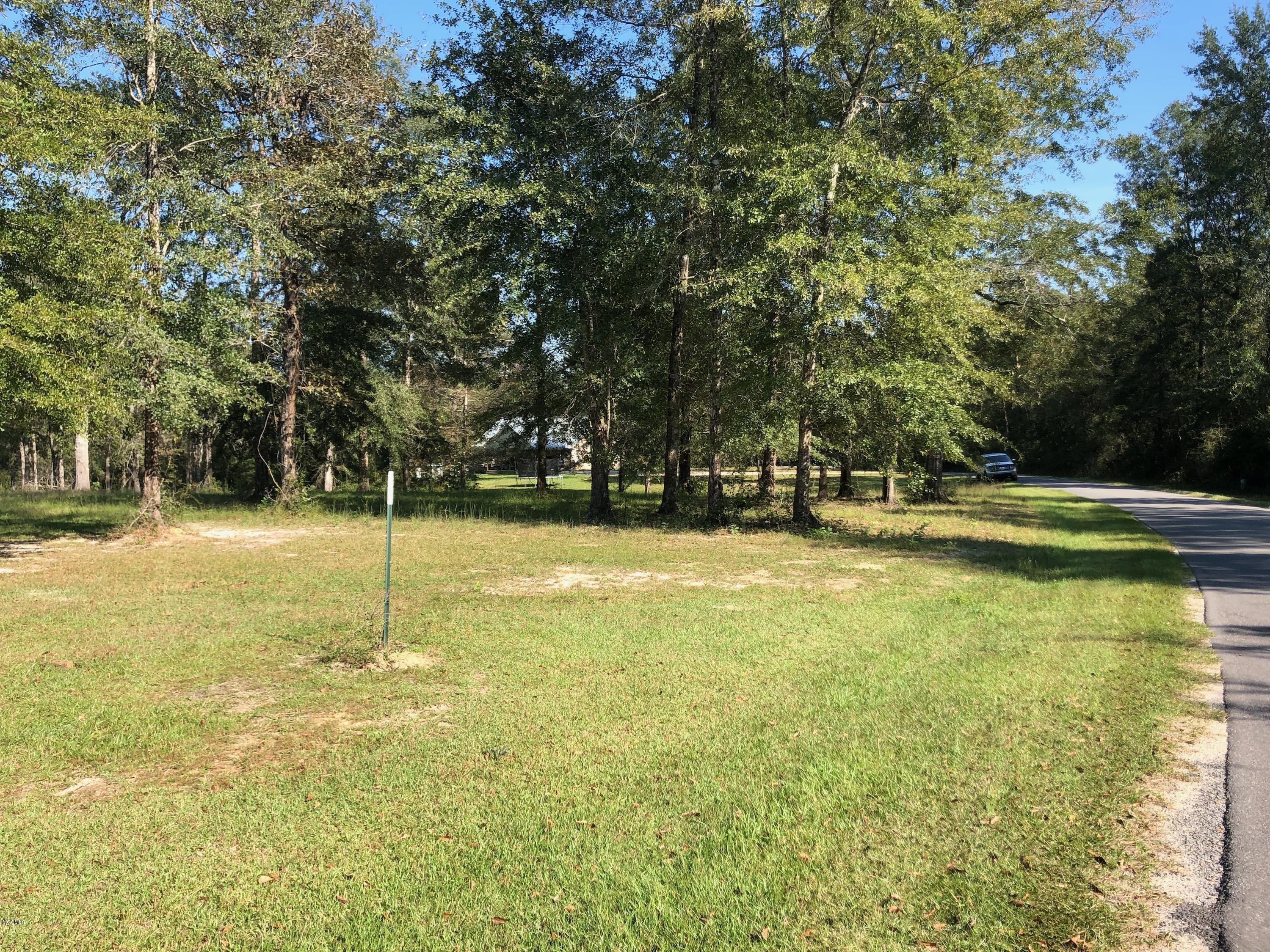 Nhn Carl Taylor Road Wiggins, MS 39577 - Photo 4 of 5 IMG_2238