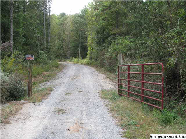 2260 Gaines Road Altoona, AL 35952 - Photo 7 of 31