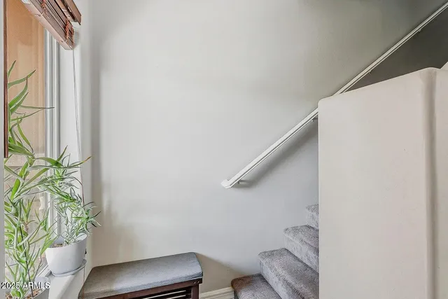 a bathroom with a toilet and a shower curtain