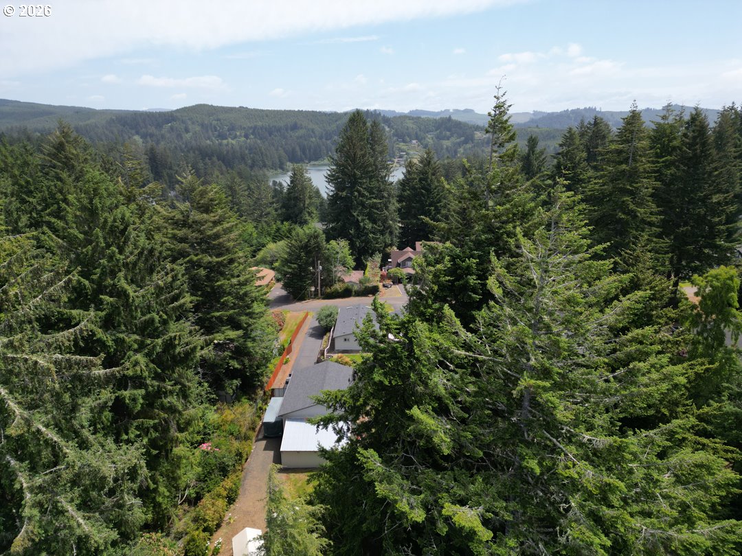 83411 Clear Lake Road Florence, OR 97439 - Photo 3 of 47 a view of a city with lush green forest