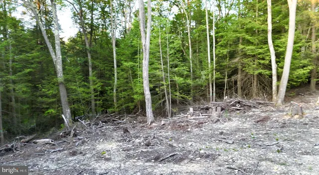 $55,000 | Scenic Drive, Grantsville, MD 21536