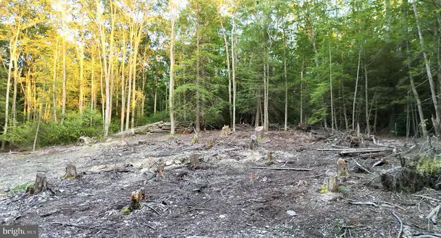 $55,000 | Scenic Drive, Grantsville, MD 21536