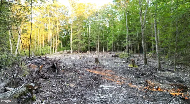 $55,000 | Scenic Drive, Grantsville, MD 21536