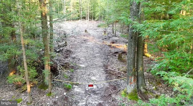 $55,000 | Scenic Drive, Grantsville, MD 21536