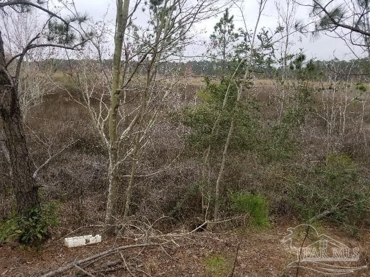0 San Raphael Road Milton, FL 32583 - Photo 3 of 11