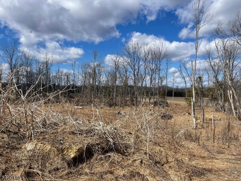 a view of backyard with green space