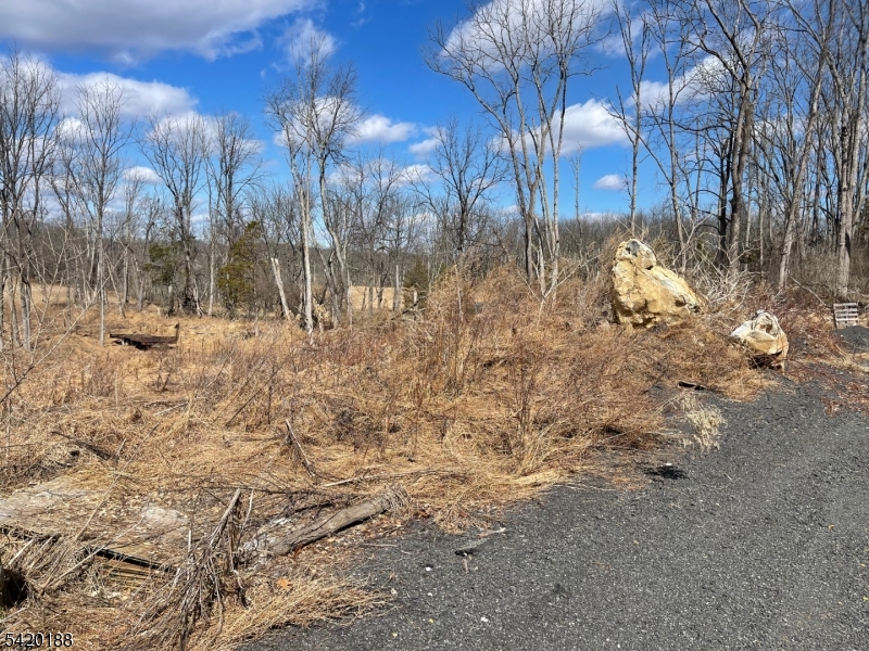 83 Creek Road Andover, NJ 07821 - Photo 11 of 12 a view of a yard with large trees