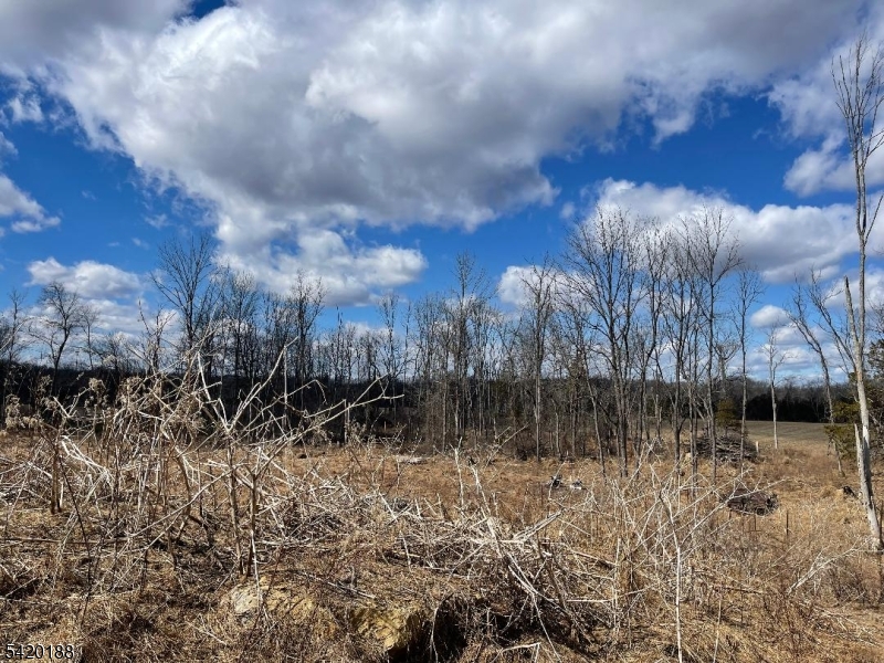 83 Creek Road Andover, NJ 07821 - Photo 2 of 12 a view of backyard with green space