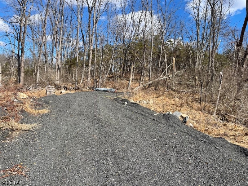 83 Creek Road Andover, NJ 07821 - Photo 3 of 12 a view of a forest with trees