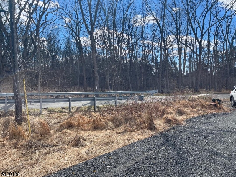 83 Creek Road Andover, NJ 07821 - Photo 4 of 12 a view of outdoor space with trees