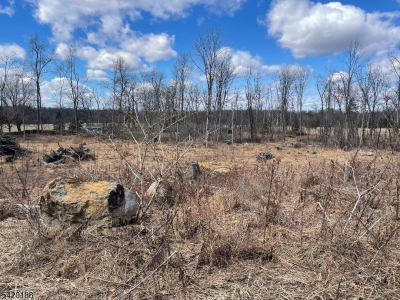 83 Creek Road Andover, NJ 07821 - Photo 5 of 12 a view of a yard