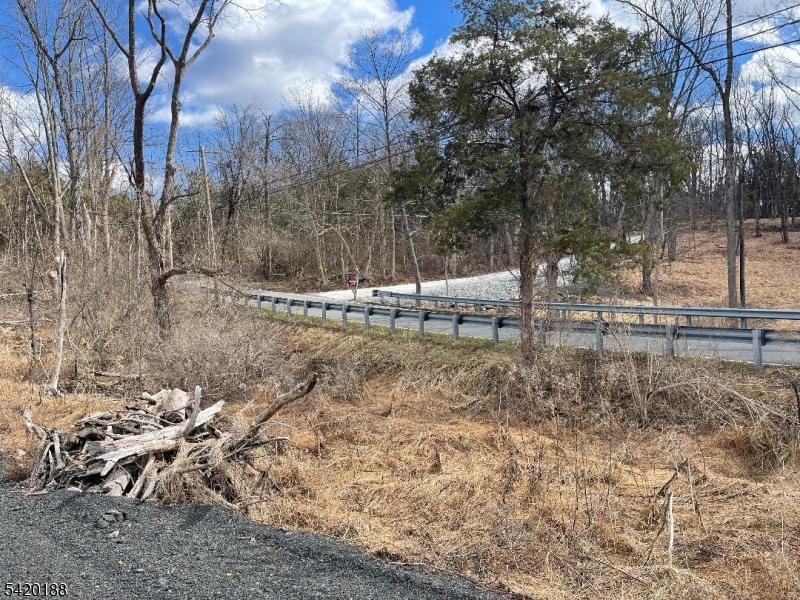 83 Creek Road Andover, NJ 07821 - Photo 6 of 12 a backyard of a house with lots of green space