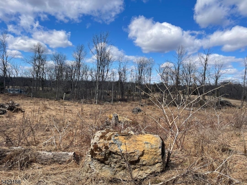 83 Creek Road Andover, NJ 07821 - Photo 7 of 12 a view of a yard