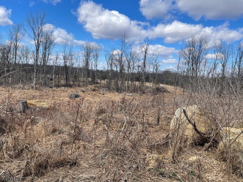 83 Creek Road Andover, NJ 07821 - Photo 8 of 12 a view of a lake with a yard