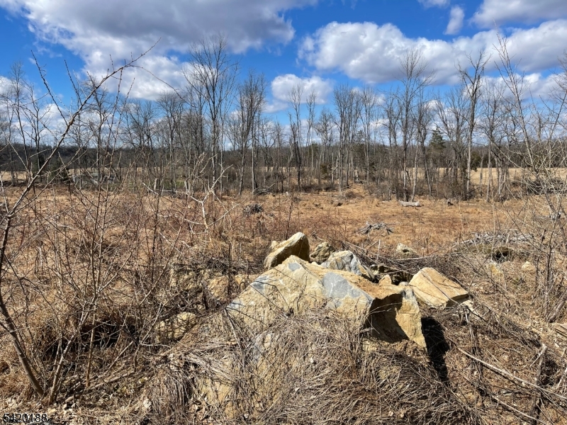 83 Creek Road Andover, NJ 07821 - Photo 10 of 12 a view of a yard with plants and trees