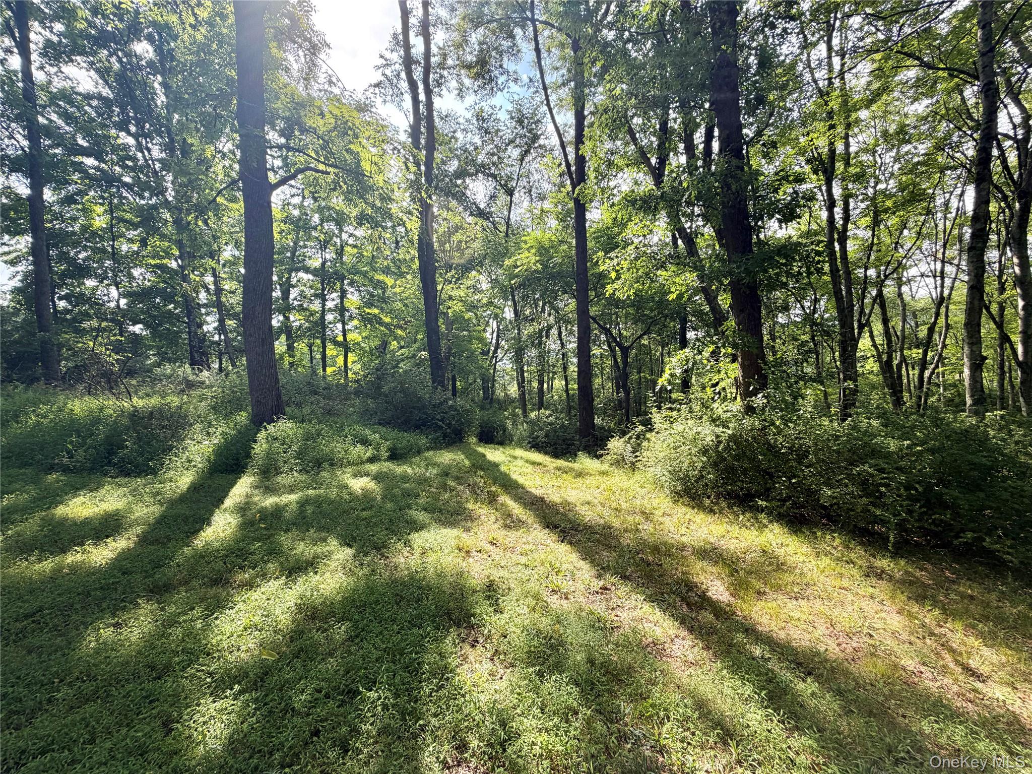 468 Decker Road Wallkill, NY 12589 - Photo 31 of 38 Path leading to the stream