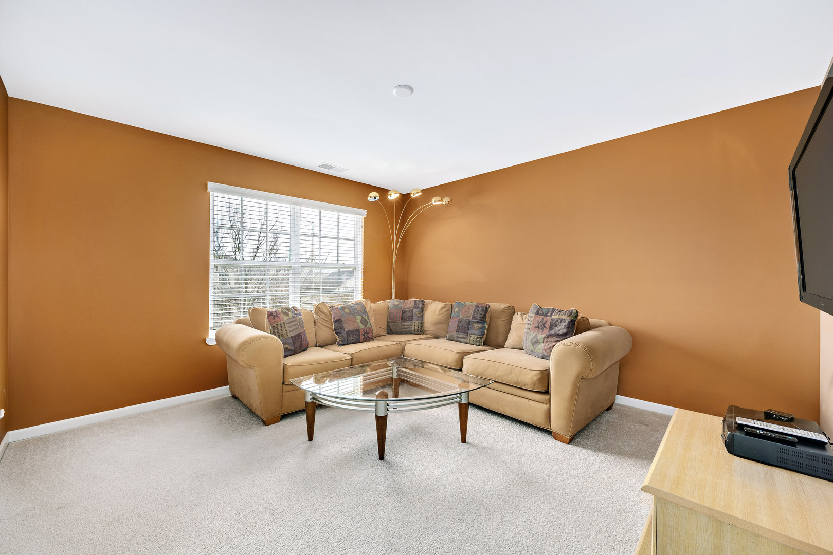 738 North Misty Ridge Drive Romeoville, IL 60446 - Photo 14 of 27 Gallery Image 14