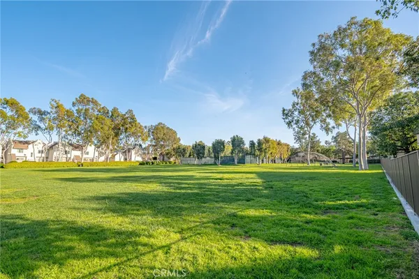 a view of a park with tree s