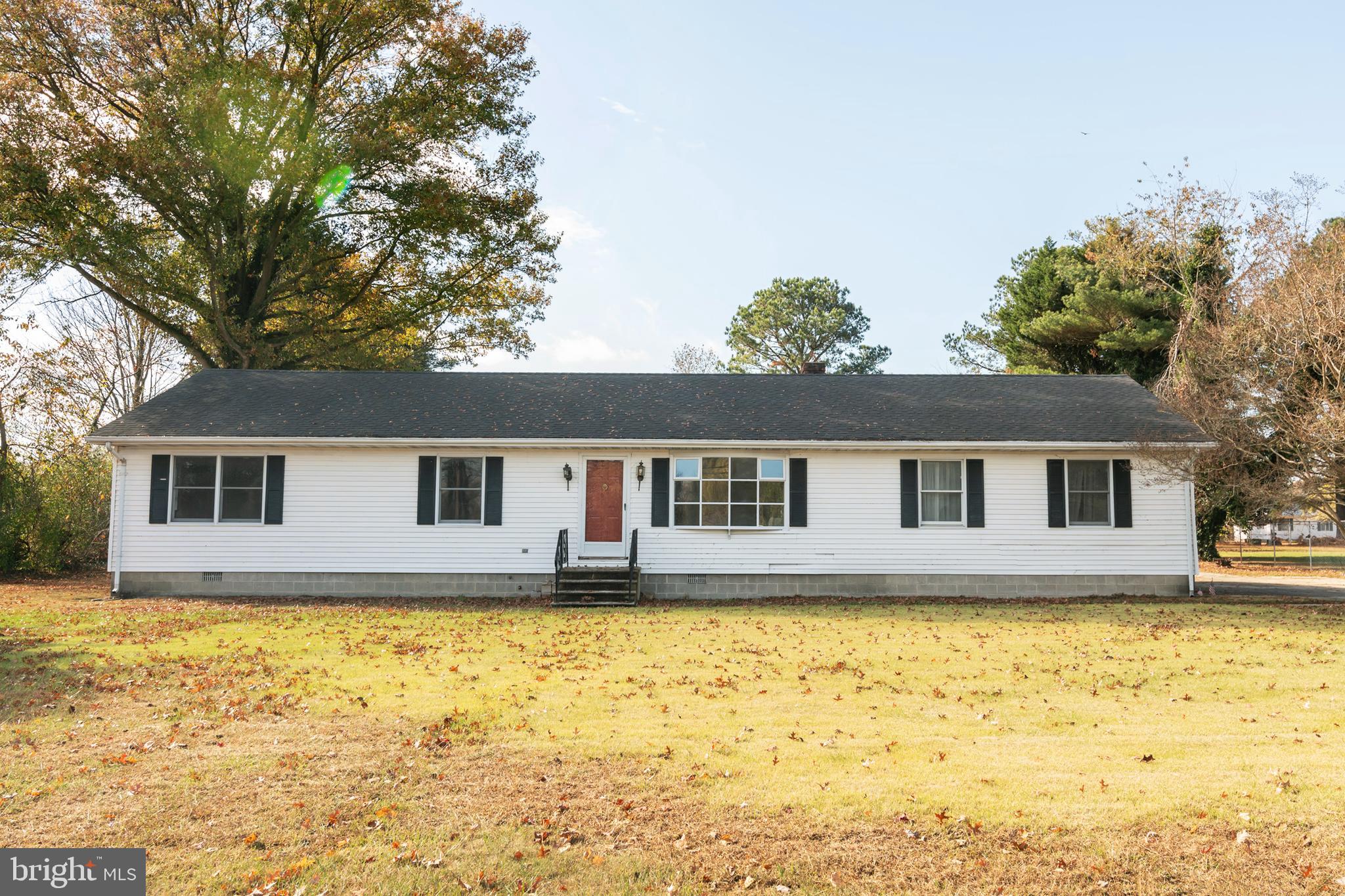 5418 Whitehall Road Cambridge, MD 21613 - Photo 4 of 11 Bright Sunny Setting