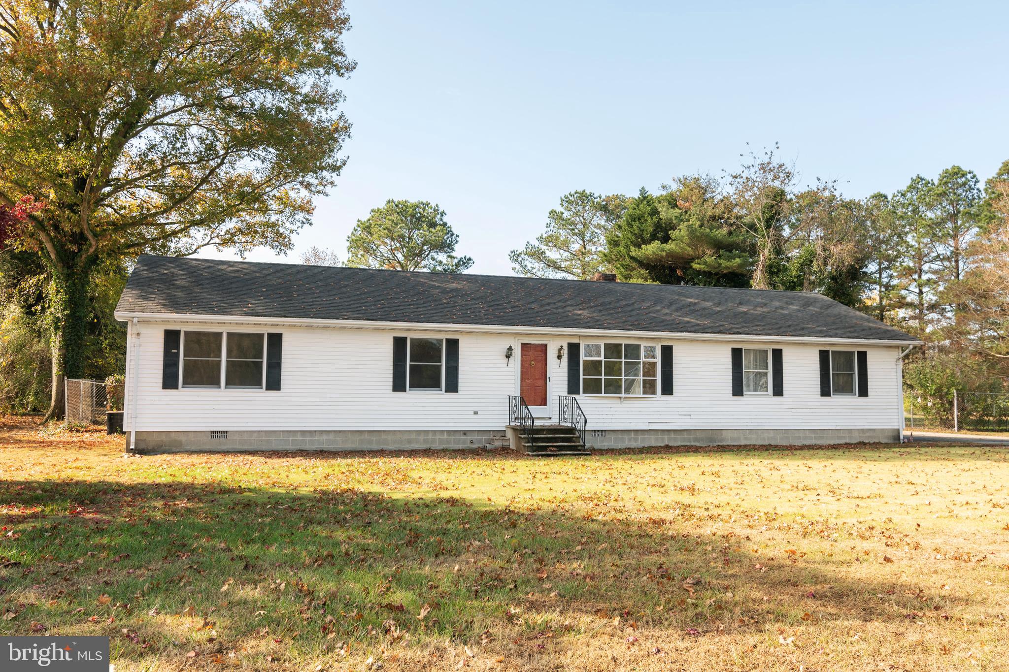 5418 Whitehall Road Cambridge, MD 21613 - Photo 5 of 11 Surrounded by Trees