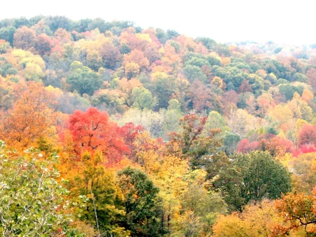 $2,600 | 6666 Brookmont Terrace, Unit 605, Nashville, TN 37205