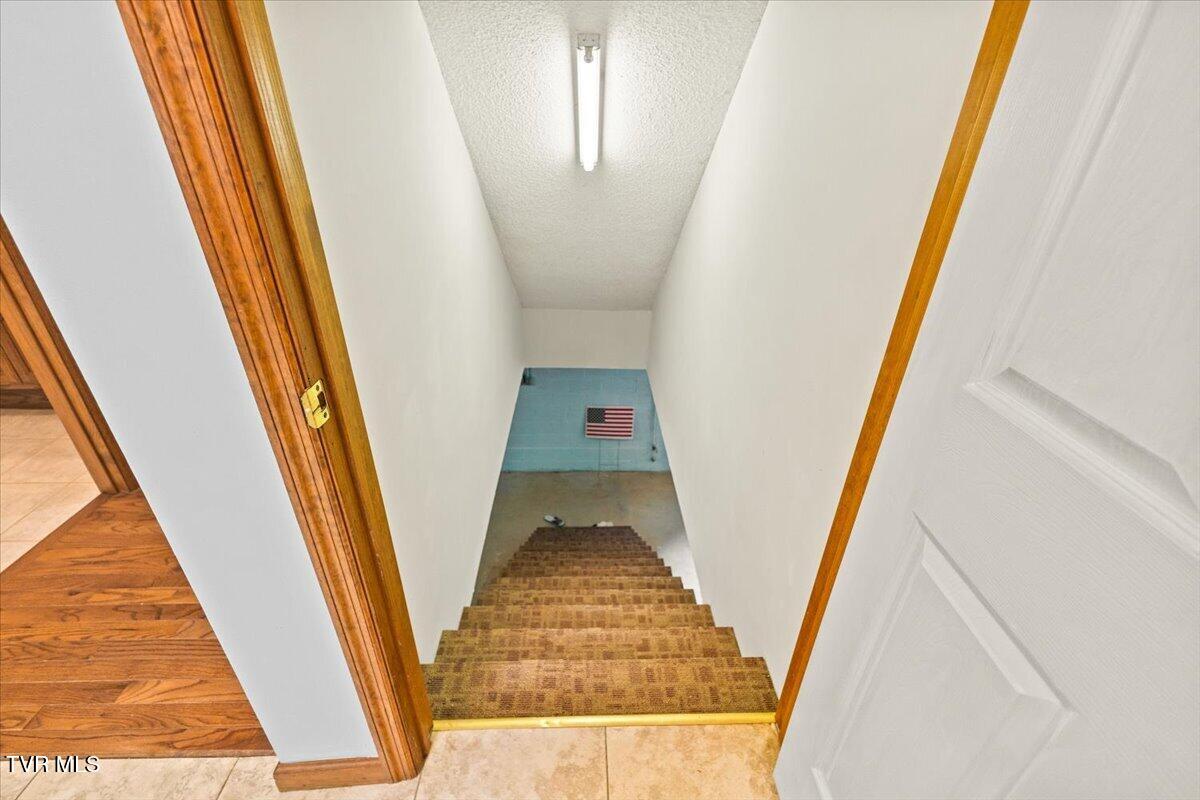 515 Scioto Road Unicoi, TN 37692 - Photo 47 of 55 51-128A8270