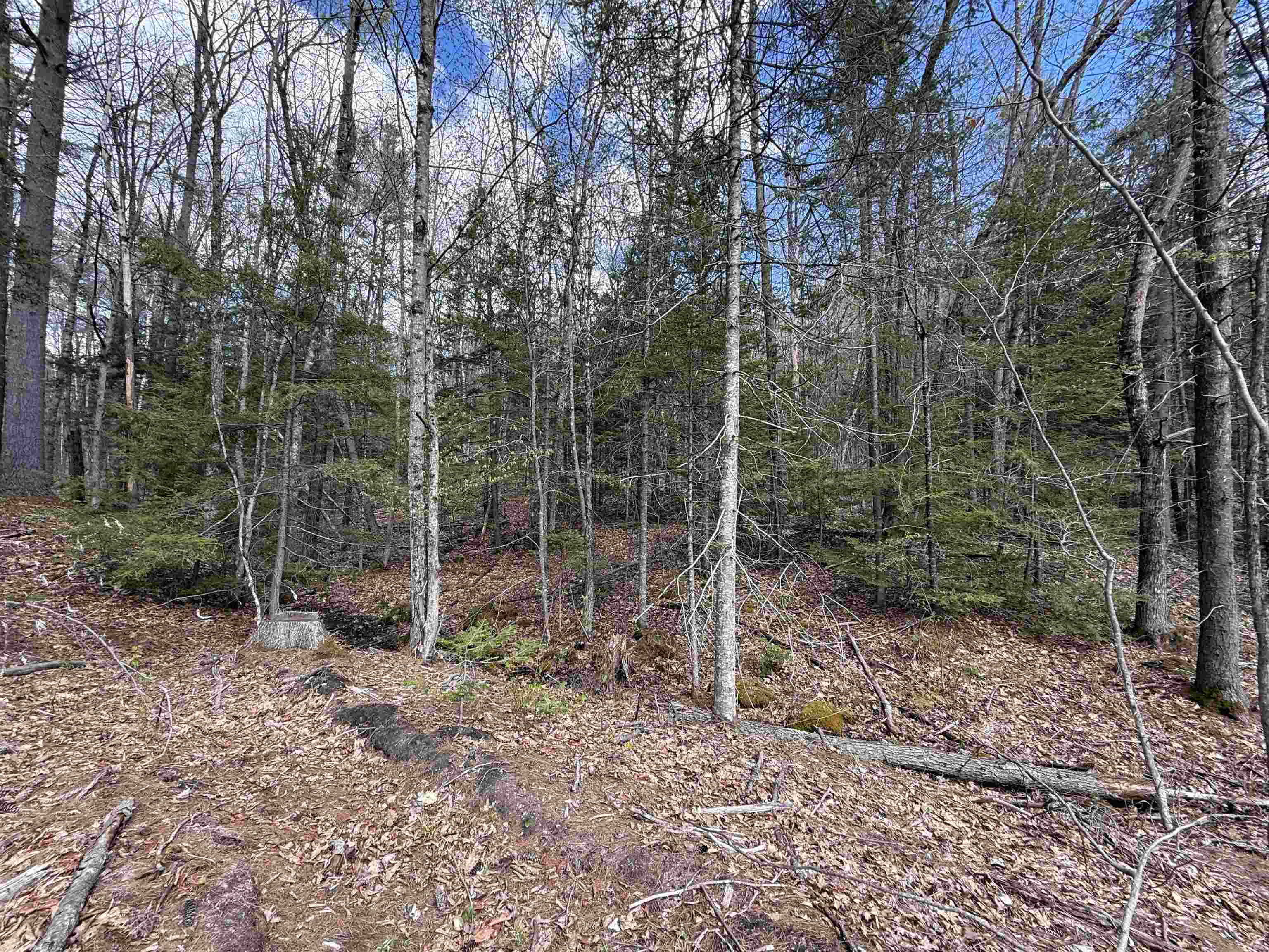 Tunnel Road Grafton, NH 03240 - Photo 12 of 24 Gallery Image 12