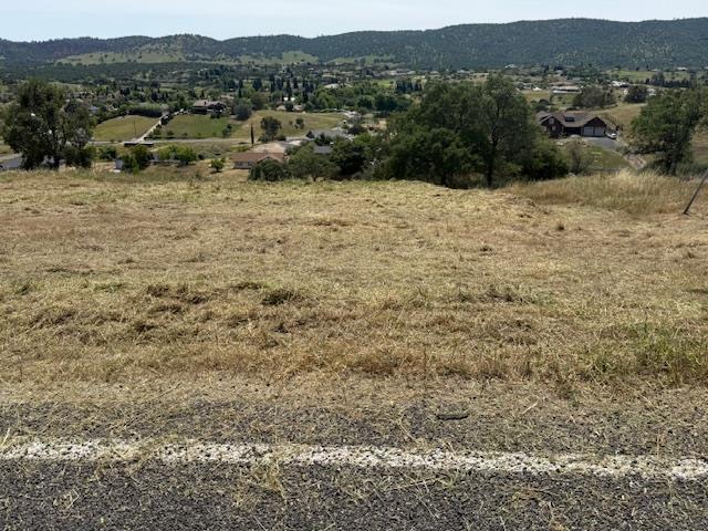 a view of a dry yard with trees