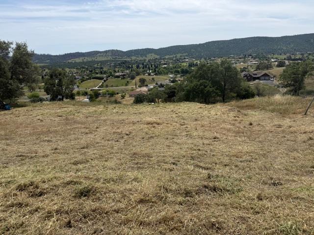 2648 Arrowhead Street Copperopolis, CA 95228 - Photo 2 of 10 a view of a dry yard with mountains in the background