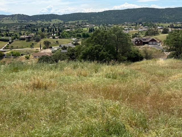 2648 Arrowhead Street Copperopolis, CA 95228 - Photo 4 of 10 a view of a lush green field with mountains in the background