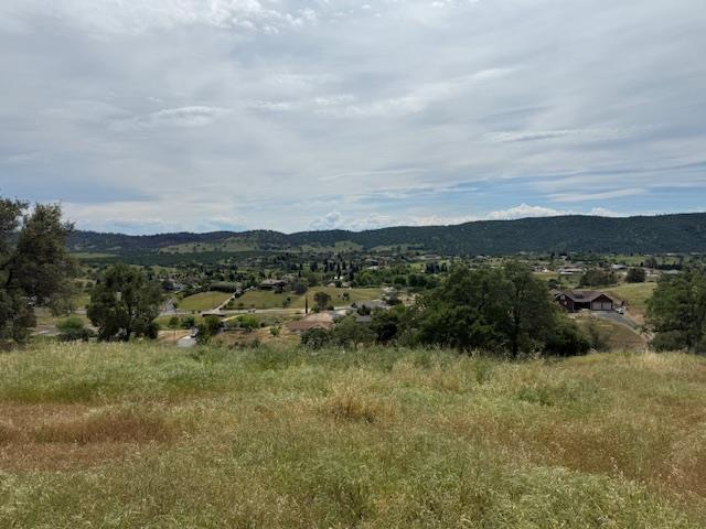 2648 Arrowhead Street Copperopolis, CA 95228 - Photo 6 of 10 a view of a green field